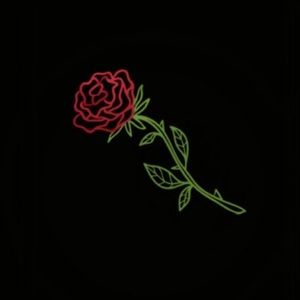 Meet your Posher, Arely